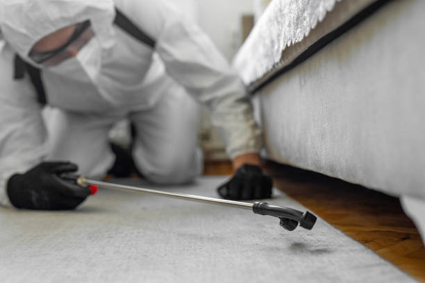Professional Pest Control technician working in Archbald, PA