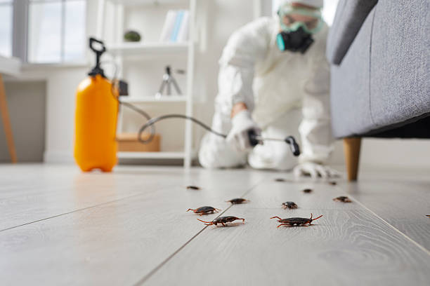 Trusted Termite Control service in Archbald, PA - Nex Pest Control